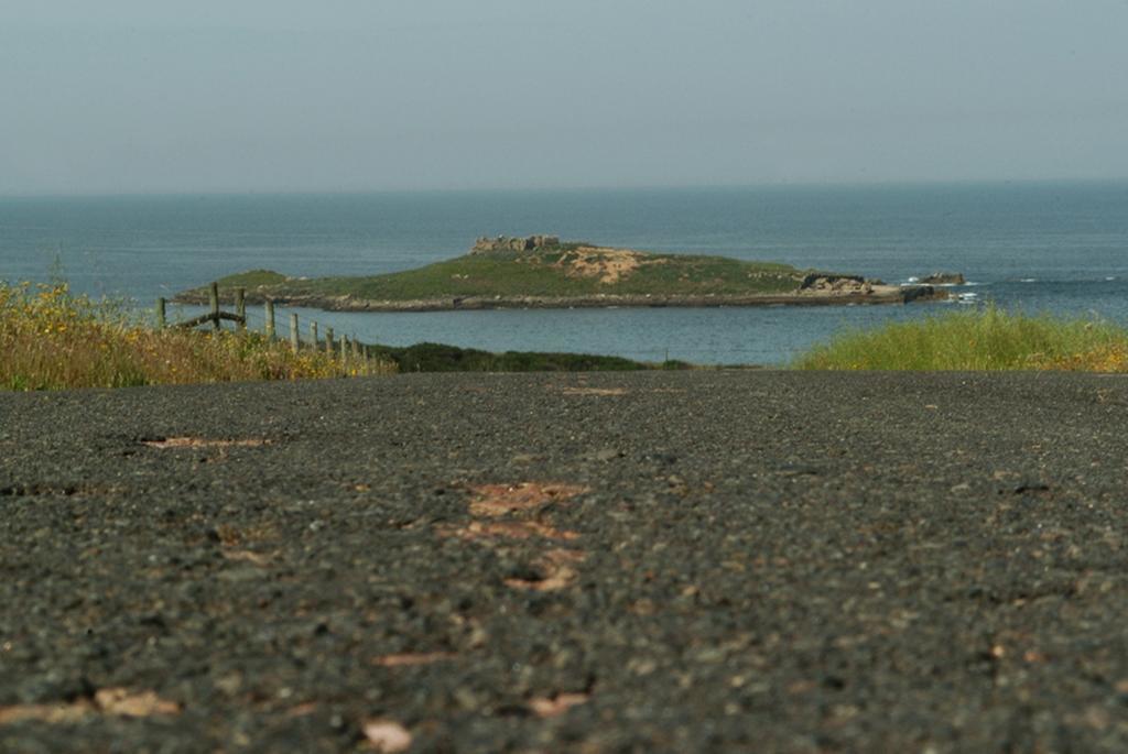 Parque De Campismo Da Ilha Do Pessegueiro Hotell Porto Covo Rom bilde